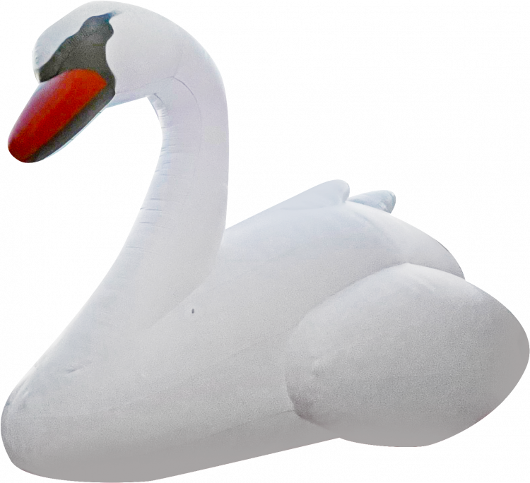 Inflatable Swans (Set of 2)