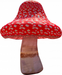 n 0029 Layer 30 1657726448 Inflatable Mushroom